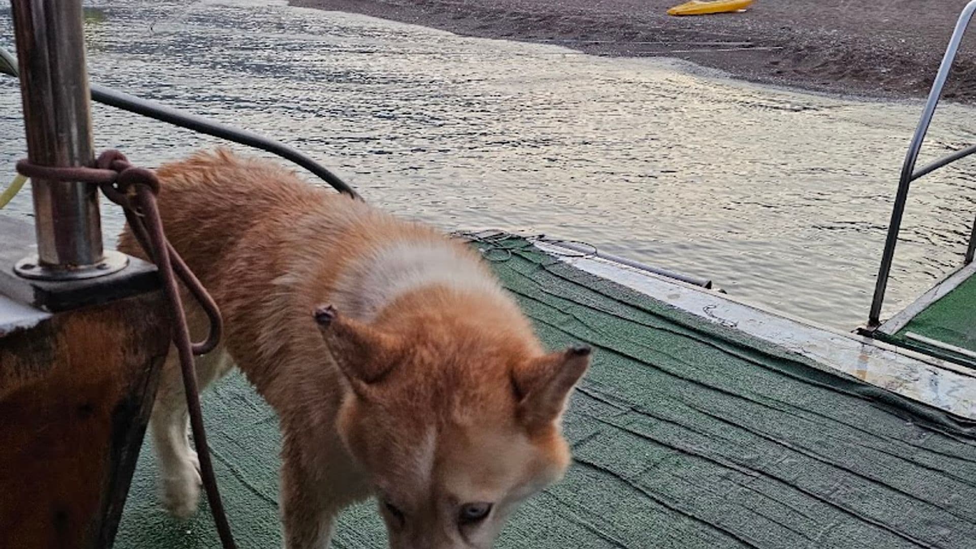 çıralı sahil yolu