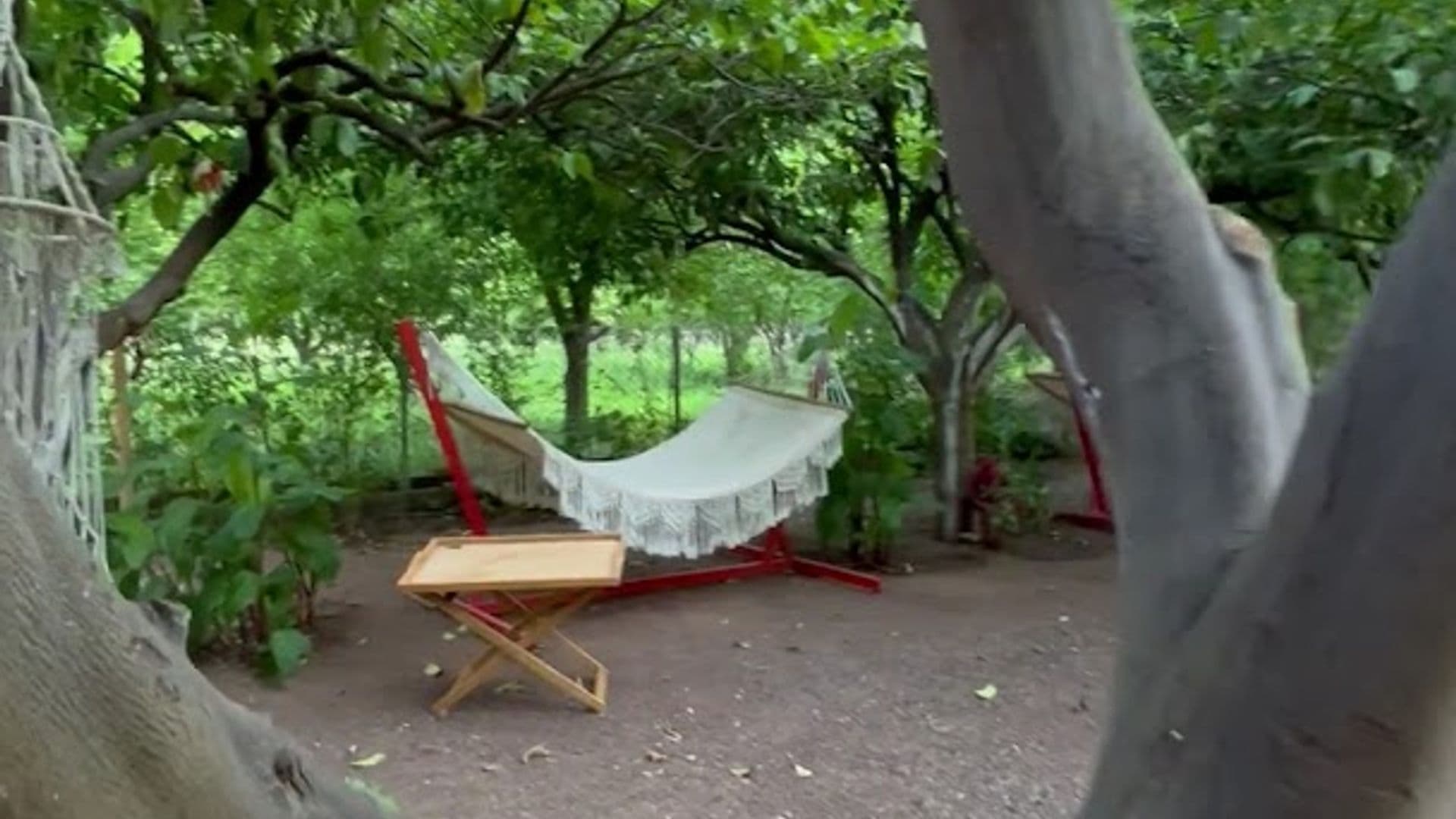 Cirali Izci Apart Hotel