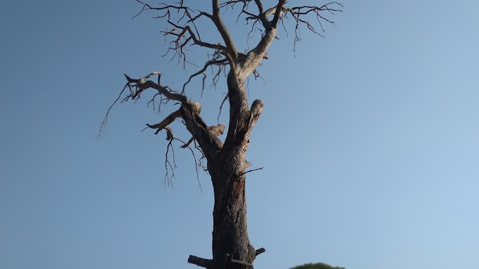 Emek Pension & Hotel