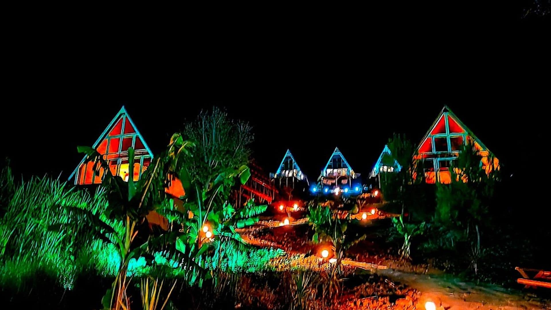 BİG TREE BUNGALOW VİLLAS