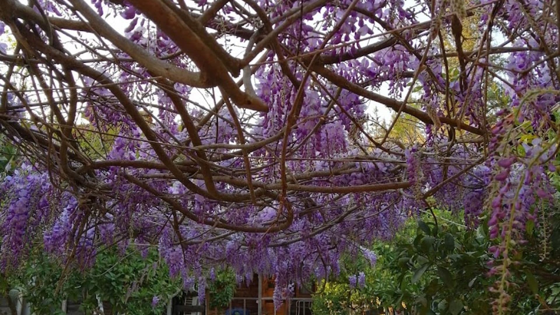 Olympos Baykus Lodge