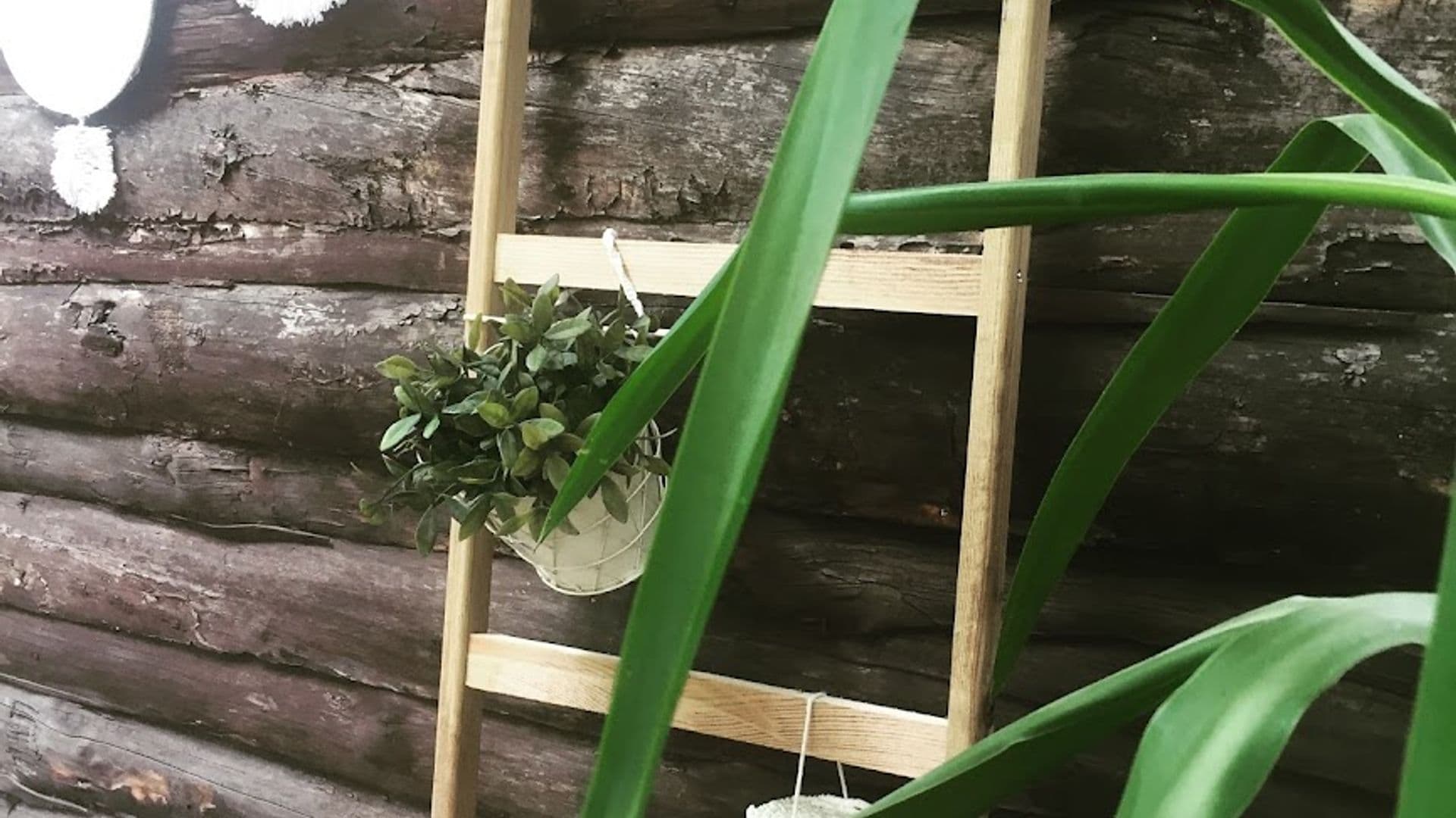 Olympos Baykus Lodge