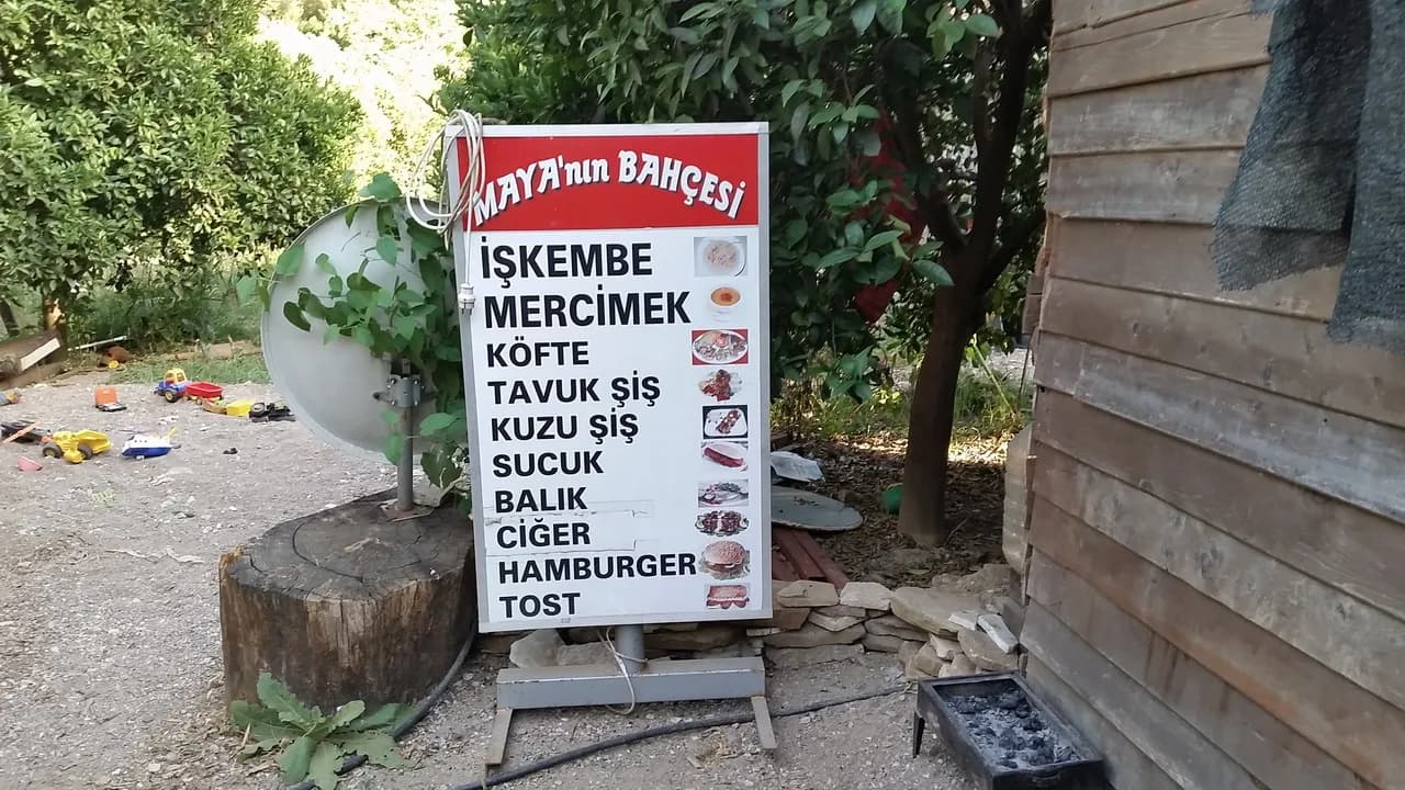 Maya'nın Bahçesi