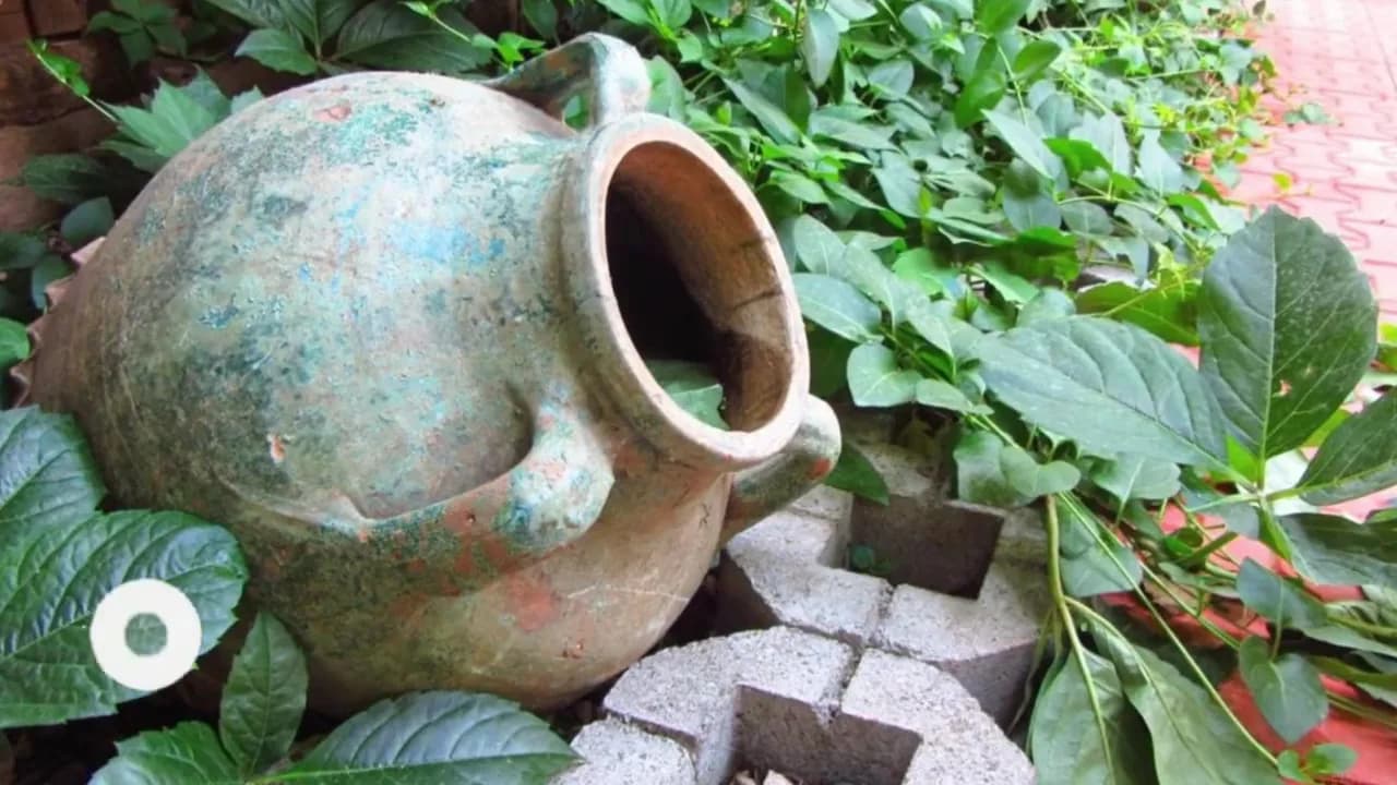 Olimpos Natural Pansiyon