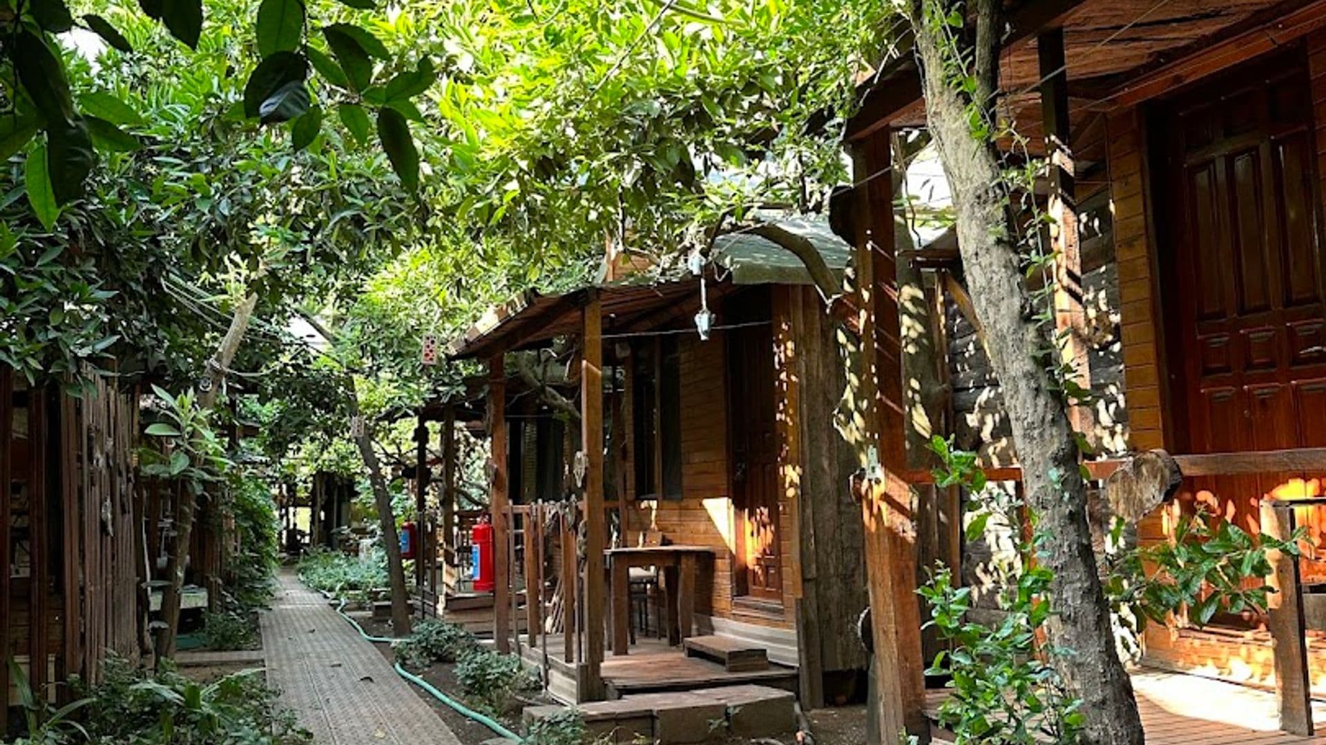 Olimpos Natural Pansiyon