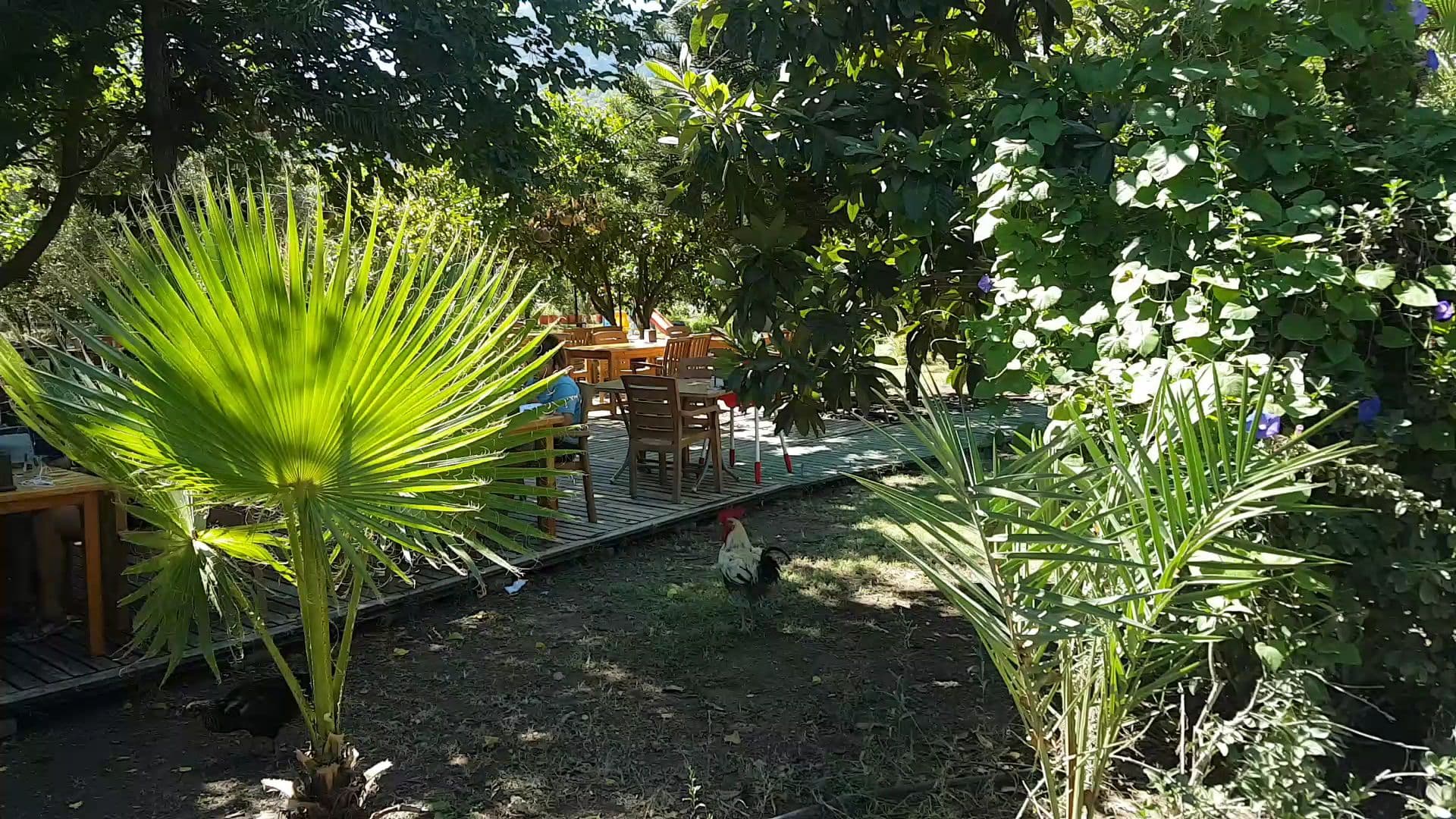 Pensions Çıralı Coast