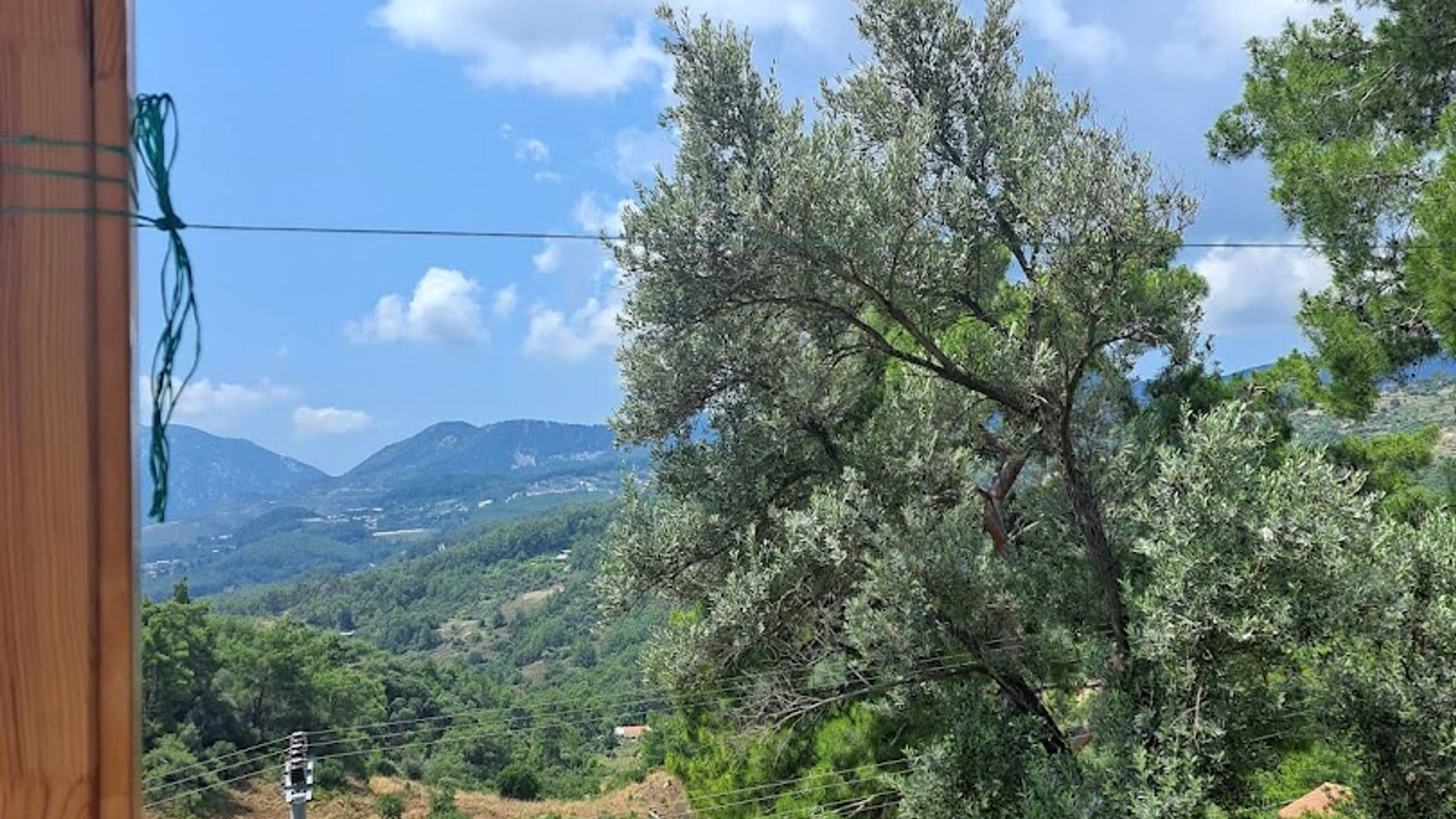 Olimpos Altun Pansiyon