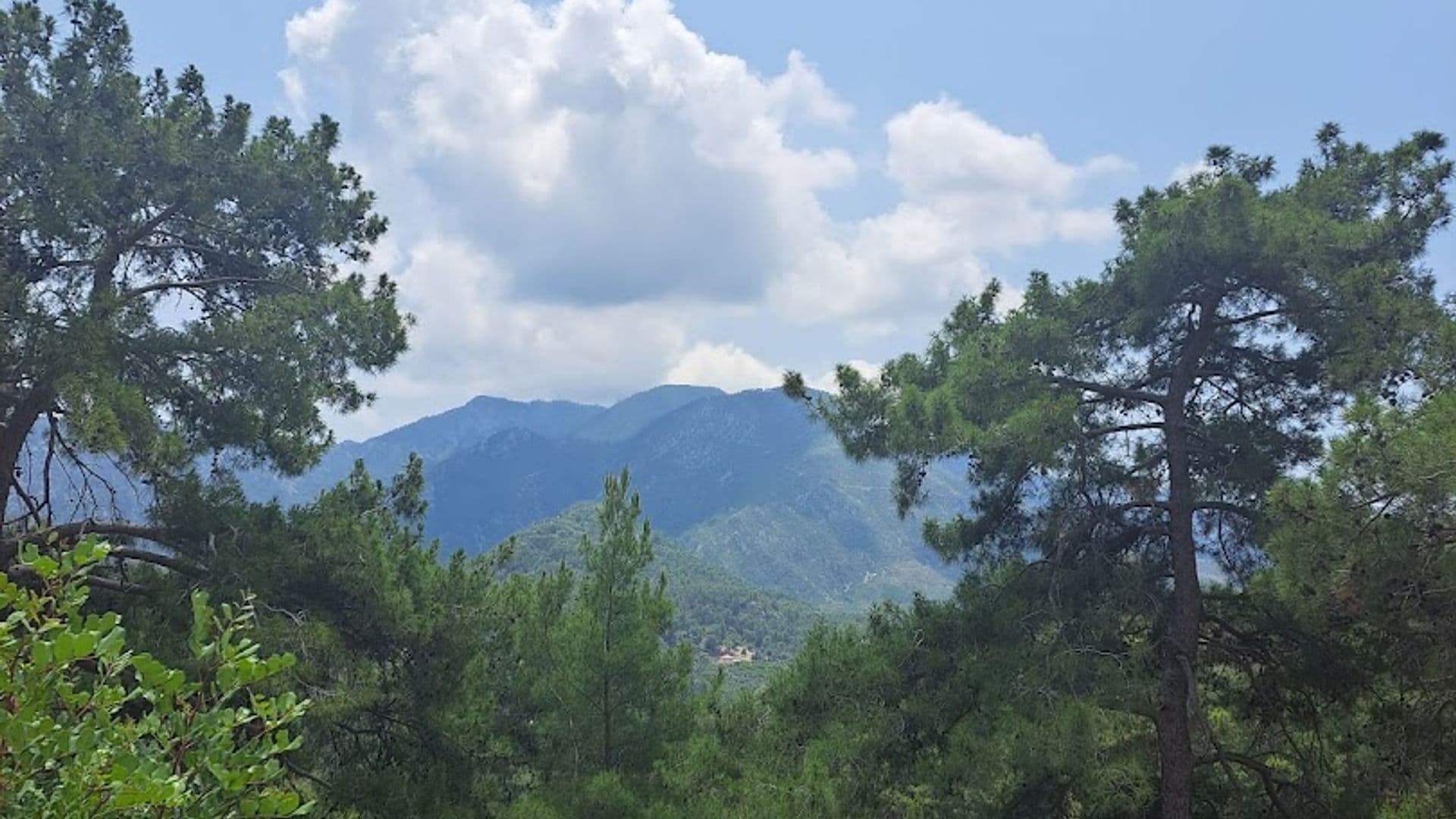 Olimpos Altun Pansiyon