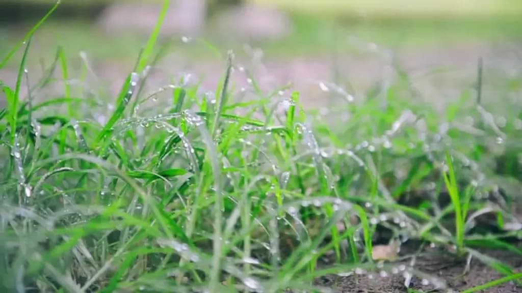 Akdeniz Bahçesi Apart Hotel by Kimera Lounge