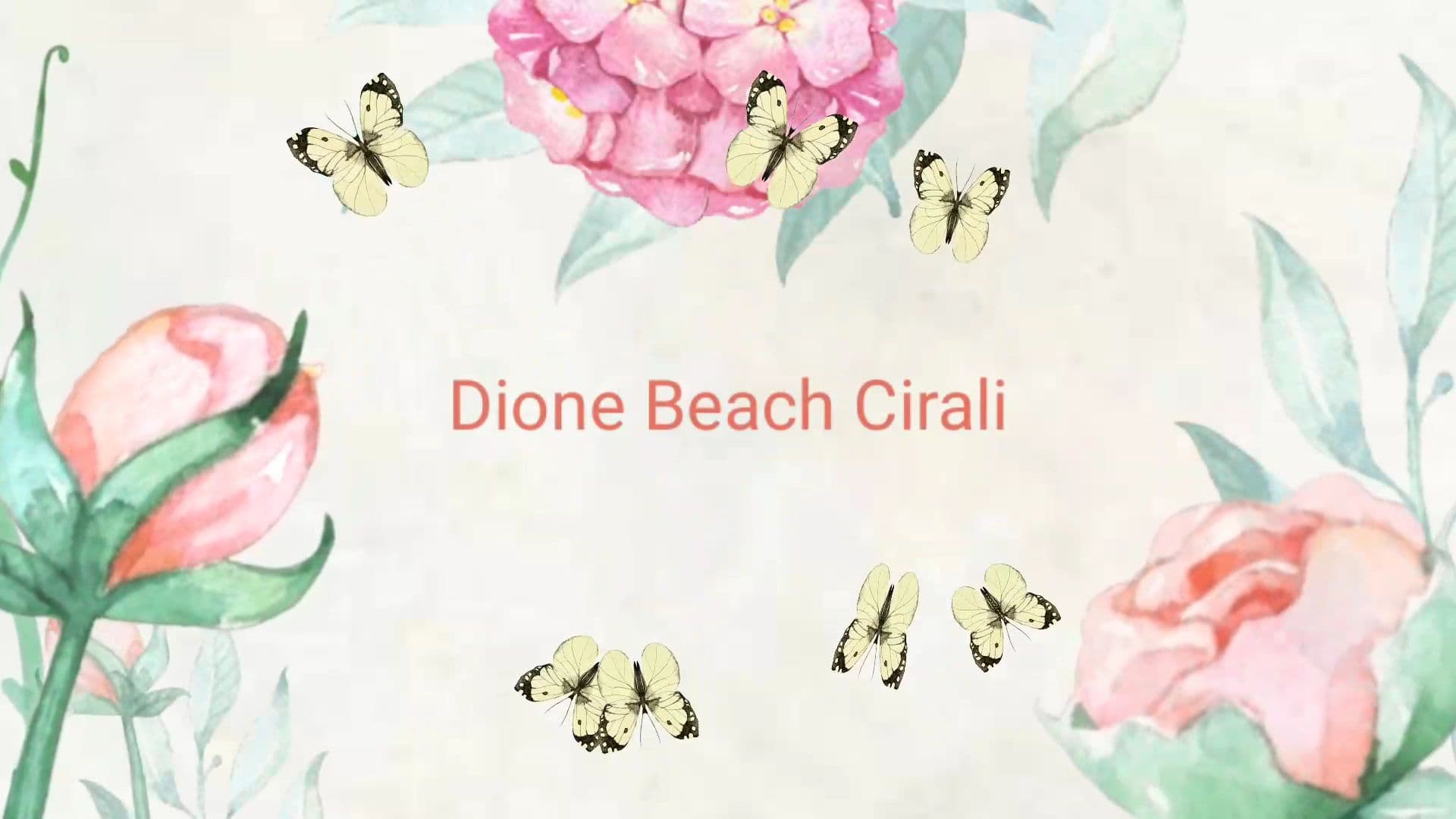 Dione Restaurant Beach Bar