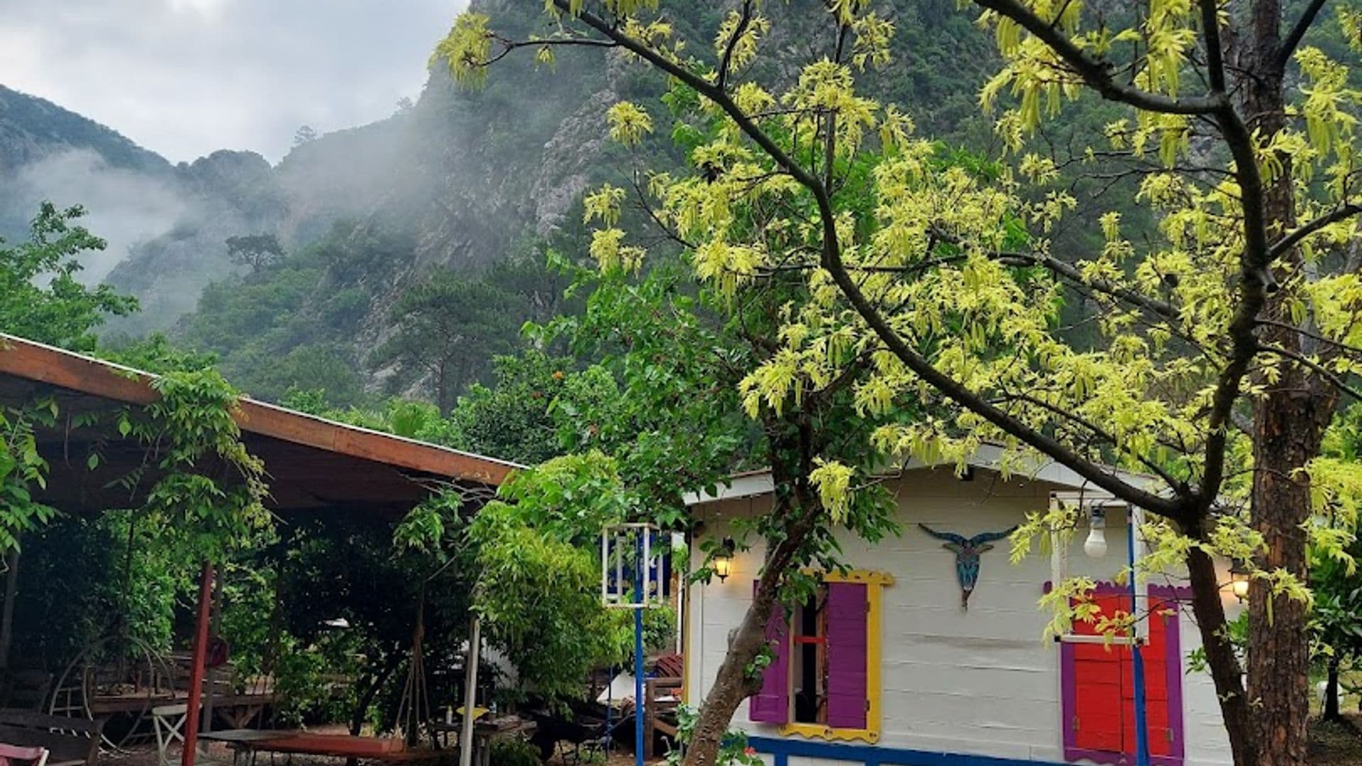 Olimpos Keçi Cafe Camping