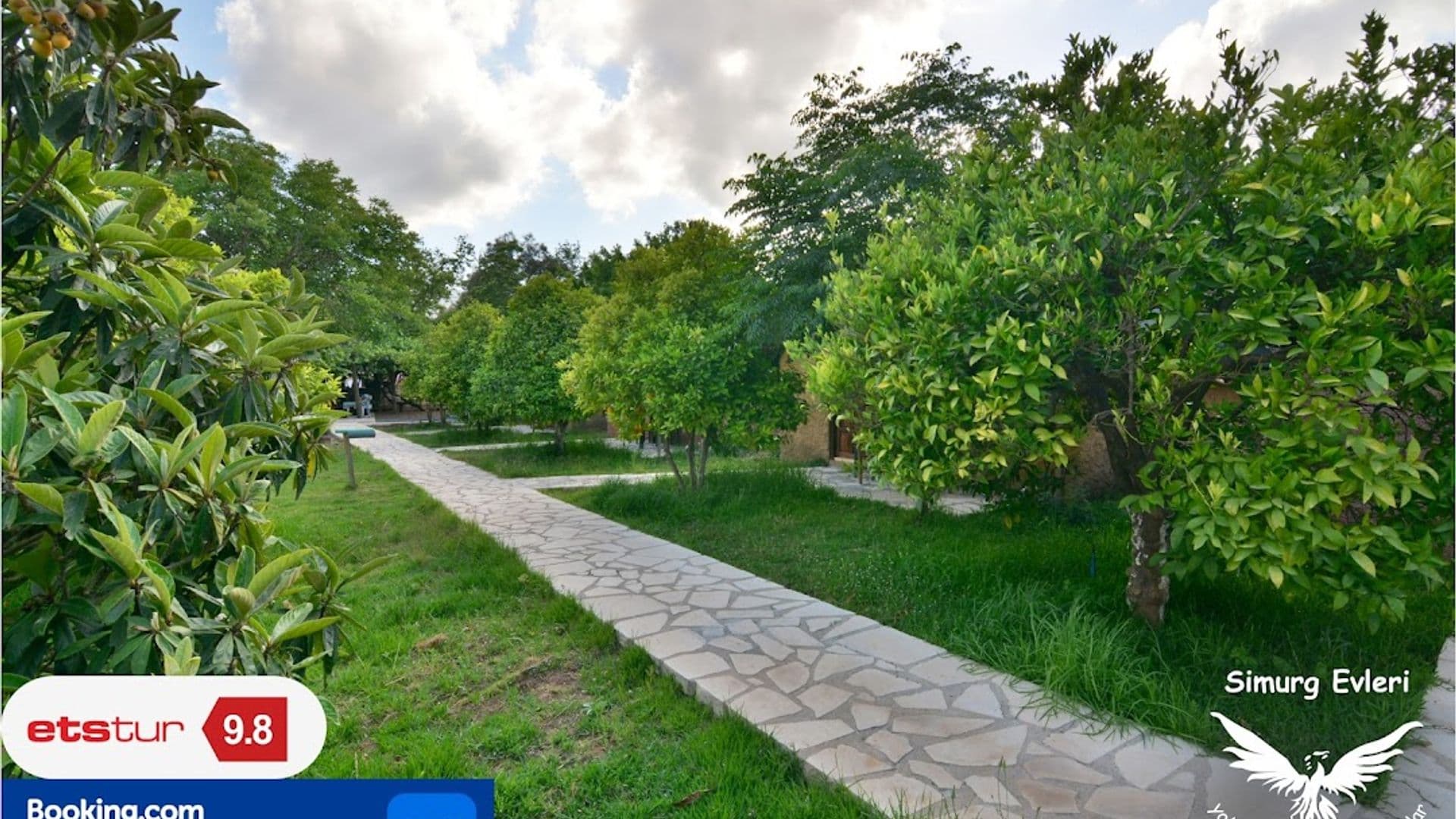 Simurg Evleri Olympos