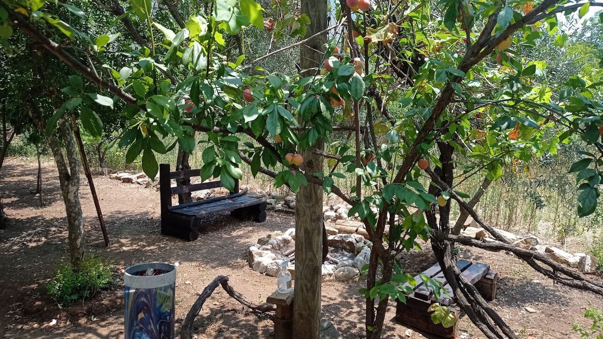 Amon Ra pansiyon, hediyelik eşya