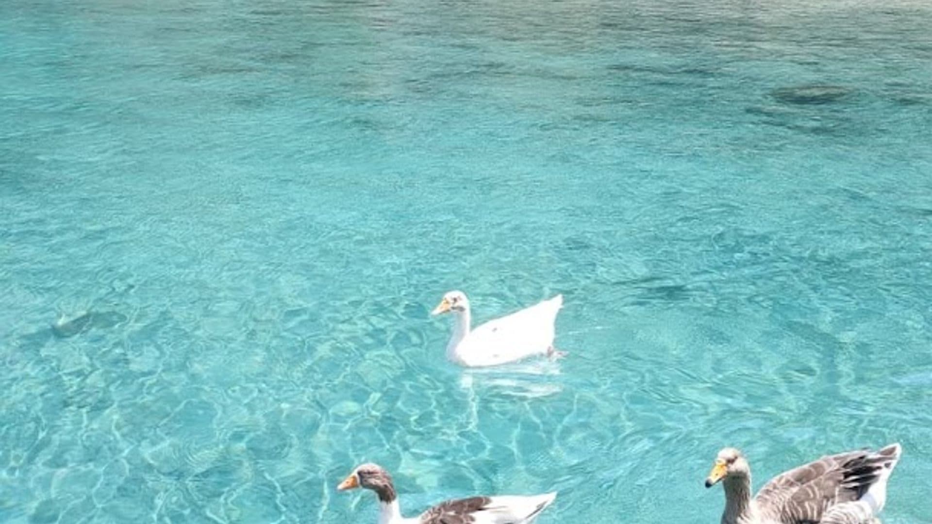 ANTALYA YATÇILIK - Çıralı Tekne Turu