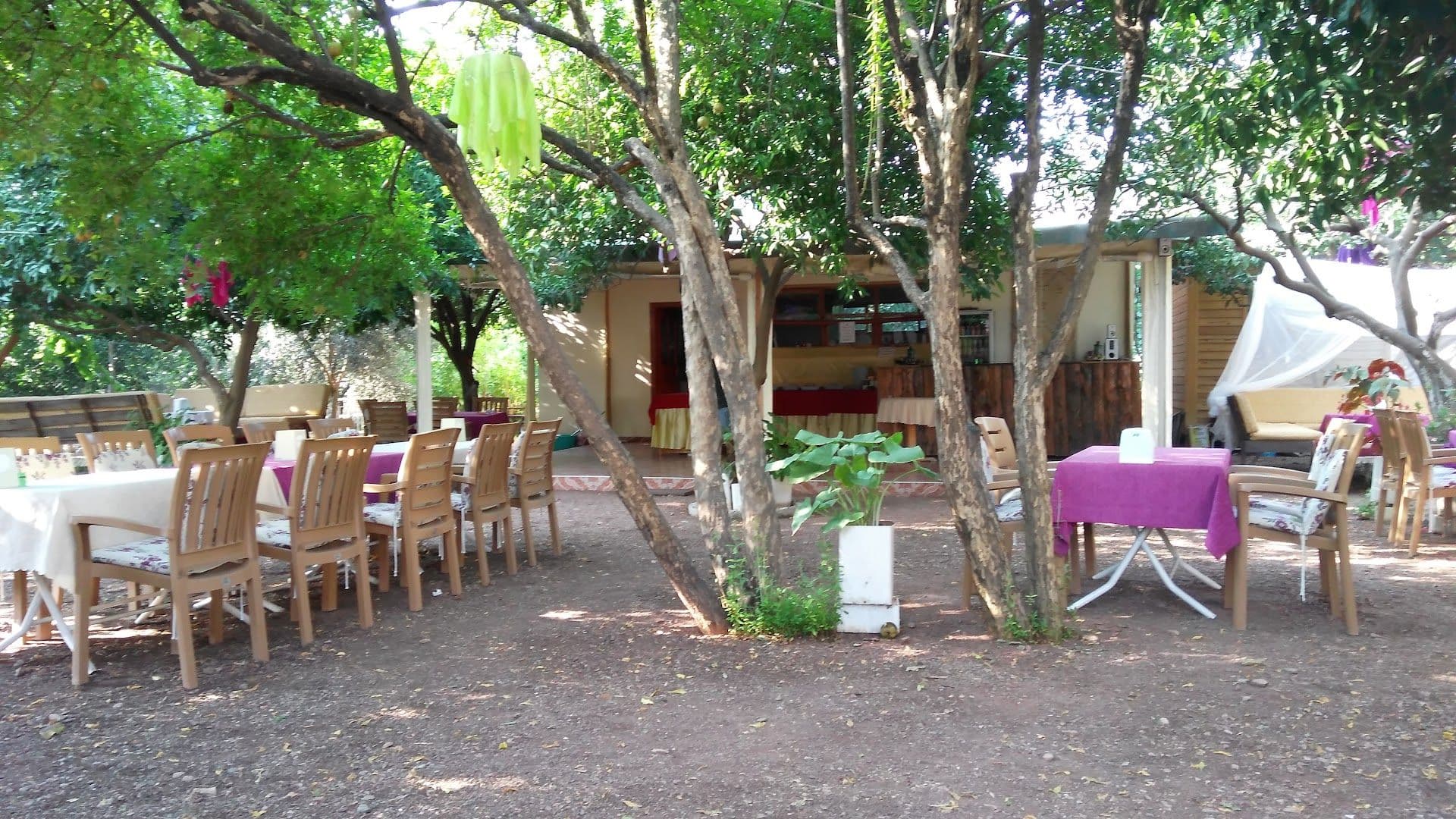 Cirali Olympos Hotel