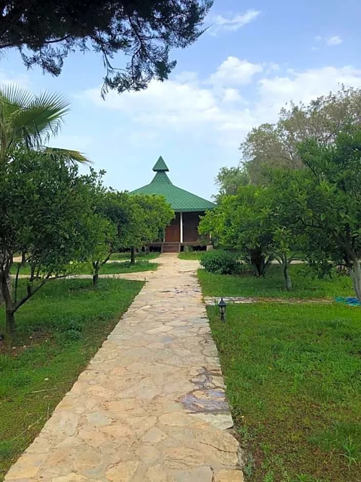 Cirali Armira Bungalow