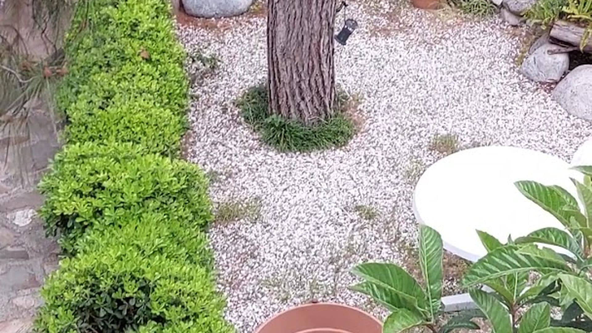 Porto Ceneviz Pension