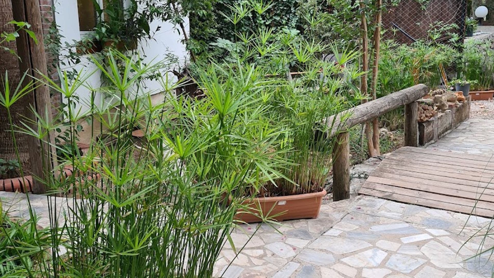 Porto Ceneviz Pension