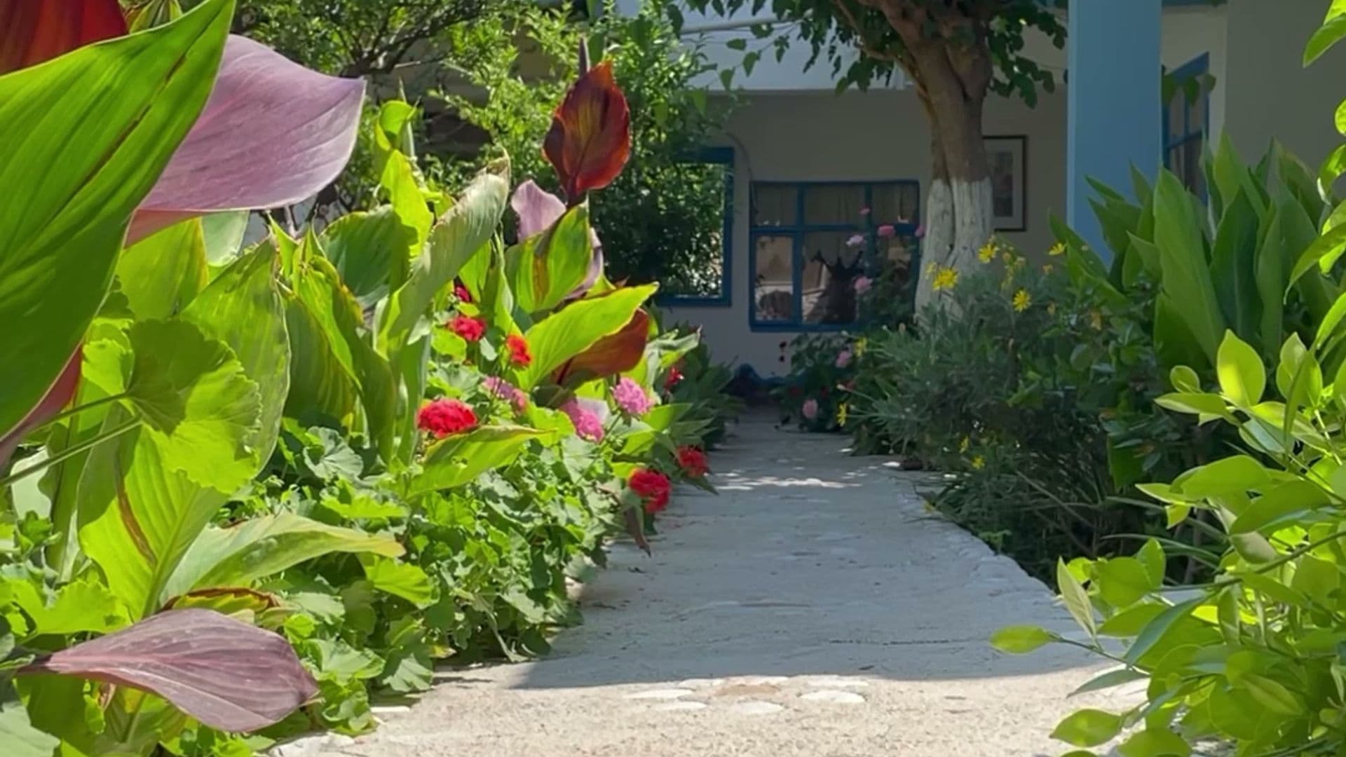 (Harun) Mila Pansiyon